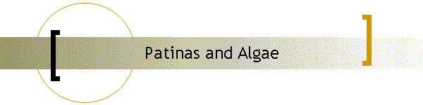 Patinas and Algae