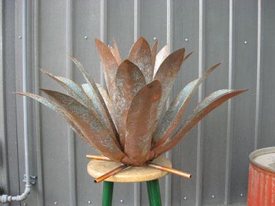 Copper Agave